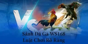 Chiến Thắng Đỉnh Cao Với Cách Chơi Đá Gà WS168 Tại iBet68