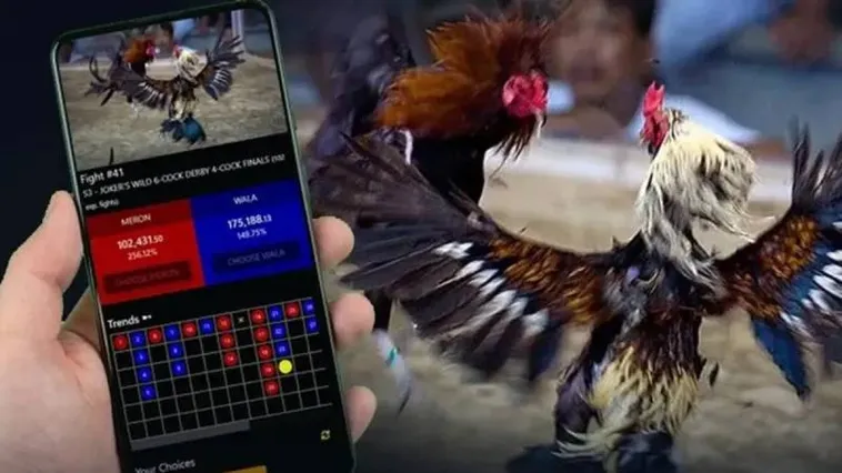 Tham Gia Đá Gà iBet68 Ngay Hôm Nay Nhận Thưởng Khủng